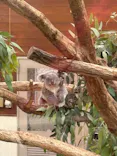 こども動物自然公園（埼玉県公園緑地協会）に投稿された画像（2026/5/6）