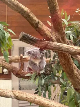 こども動物自然公園（埼玉県公園緑地協会）に投稿された画像（2026/5/6）