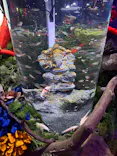 ひらかたパークに投稿された画像（2026/5/6）