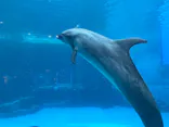 名古屋港水族館に投稿された画像（2026/5/6）