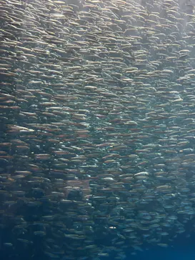 名古屋港水族館に投稿された画像（2026/5/6）
