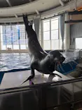 アクアワールド茨城県大洗水族館に投稿された画像（2026/5/6）