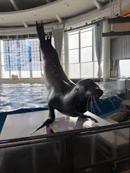 アクアワールド茨城県大洗水族館に投稿された画像（2026/5/6）