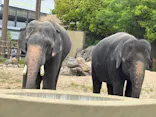 天王寺動物園に投稿された画像（2026/5/6）