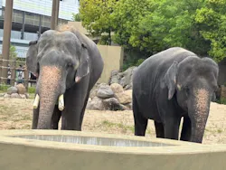 天王寺動物園に投稿された画像（2026/5/6）