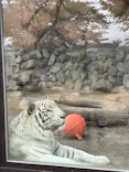 東武動物公園に投稿された画像（2026/5/6）