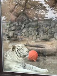 東武動物公園に投稿された画像（2026/5/6）