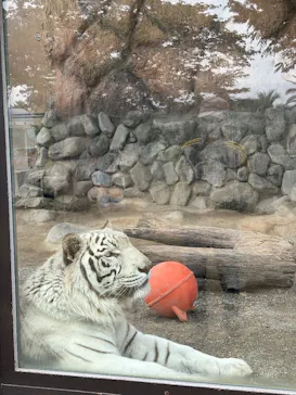 東武動物公園に投稿された画像（2026/5/6）