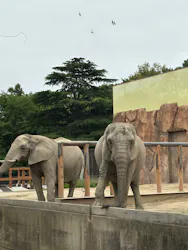 東武動物公園に投稿された画像（2026/5/6）