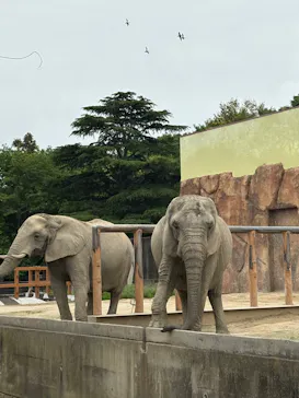 東武動物公園に投稿された画像（2026/5/6）
