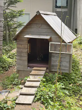 千葉市動物公園に投稿された画像（2026/5/6）