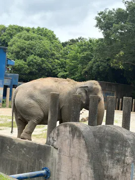 千葉市動物公園に投稿された画像（2026/5/6）