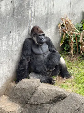 千葉市動物公園に投稿された画像（2026/5/6）