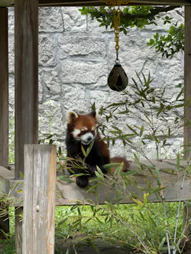 広島市安佐動物公園に投稿された画像（2026/5/6）