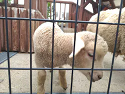 東武動物公園に投稿された画像（2026/5/6）