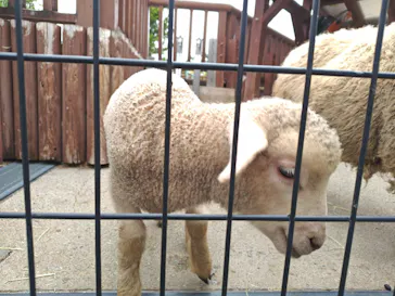 東武動物公園に投稿された画像（2026/5/6）