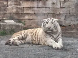 東武動物公園に投稿された画像（2026/5/6）