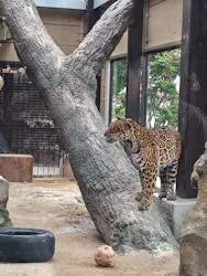 東武動物公園に投稿された画像（2026/5/6）