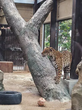 東武動物公園に投稿された画像（2026/5/6）