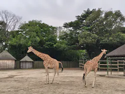 東武動物公園に投稿された画像（2026/5/6）