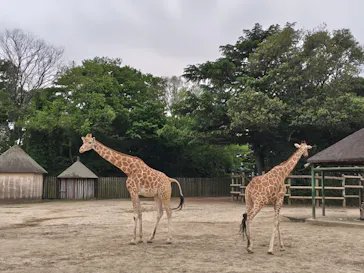 東武動物公園に投稿された画像（2026/5/6）