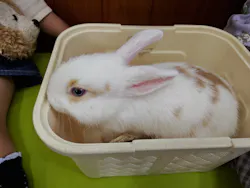 東武動物公園に投稿された画像（2026/5/6）