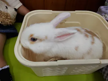 東武動物公園に投稿された画像（2026/5/6）