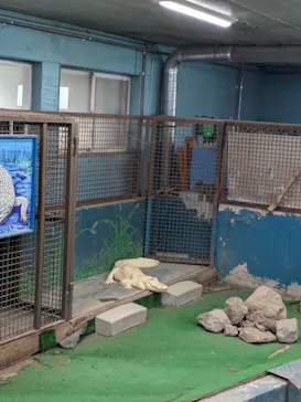 東北サファリパークに投稿された画像（2026/5/6）