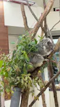 こども動物自然公園（埼玉県公園緑地協会）に投稿された画像（2026/5/6）