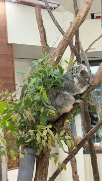 こども動物自然公園（埼玉県公園緑地協会）に投稿された画像（2026/5/6）
