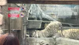 東武動物公園に投稿された画像（2026/5/7）