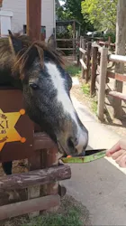 東武動物公園に投稿された画像（2026/5/6）