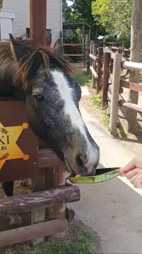 東武動物公園に投稿された画像（2026/5/6）