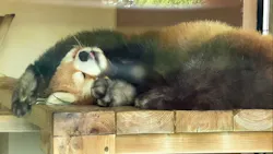 東武動物公園に投稿された画像（2026/5/6）