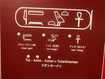 MYSTERY OF TUTANKHAMEN 体感型古代エジプト展に投稿された画像（2026/5/6）