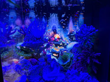 ひらかたパークに投稿された画像（2026/5/6）
