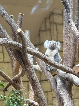 名古屋市東山動植物園に投稿された画像（2026/5/6）