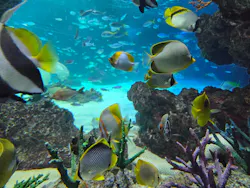 サンシャイン水族館に投稿された画像（2026/5/6）
