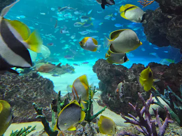 サンシャイン水族館に投稿された画像（2026/5/6）