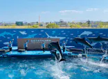 仙台うみの杜水族館に投稿された画像（2026/5/7）