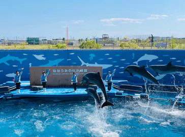 仙台うみの杜水族館に投稿された画像（2026/5/6）