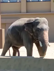 天王寺動物園に投稿された画像（2026/5/6）