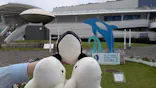 名古屋港水族館に投稿された画像（2026/5/7）