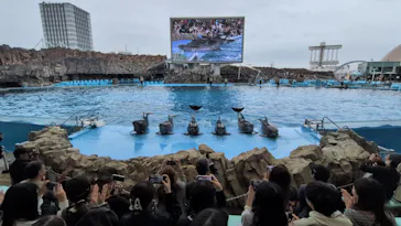 名古屋港水族館に投稿された画像（2026/5/6）