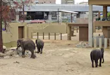 天王寺動物園に投稿された画像（2026/5/7）