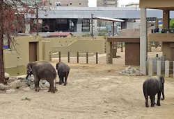 天王寺動物園に投稿された画像（2026/5/7）