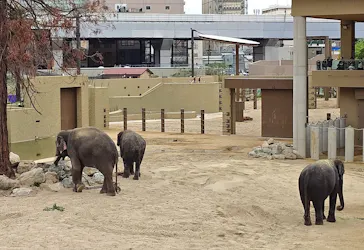 天王寺動物園に投稿された画像（2026/5/7）