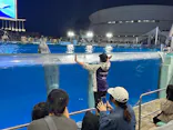 名古屋港水族館に投稿された画像（2026/5/7）