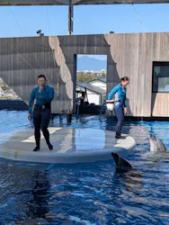 上越市立水族博物館 うみがたりに投稿された画像（2026/5/7）
