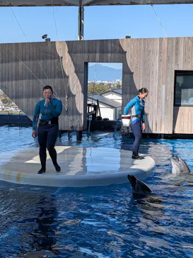 上越市立水族博物館 うみがたりに投稿された画像（2026/5/7）